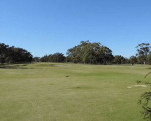 Golf - Katanning Country Club 2