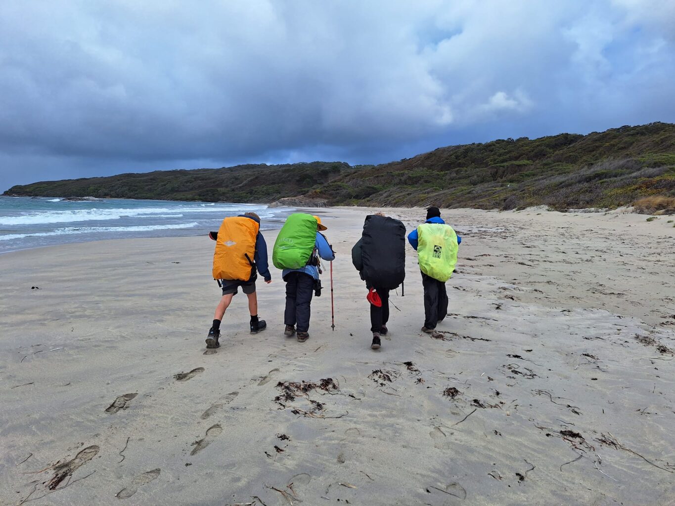 Katanning Scouts