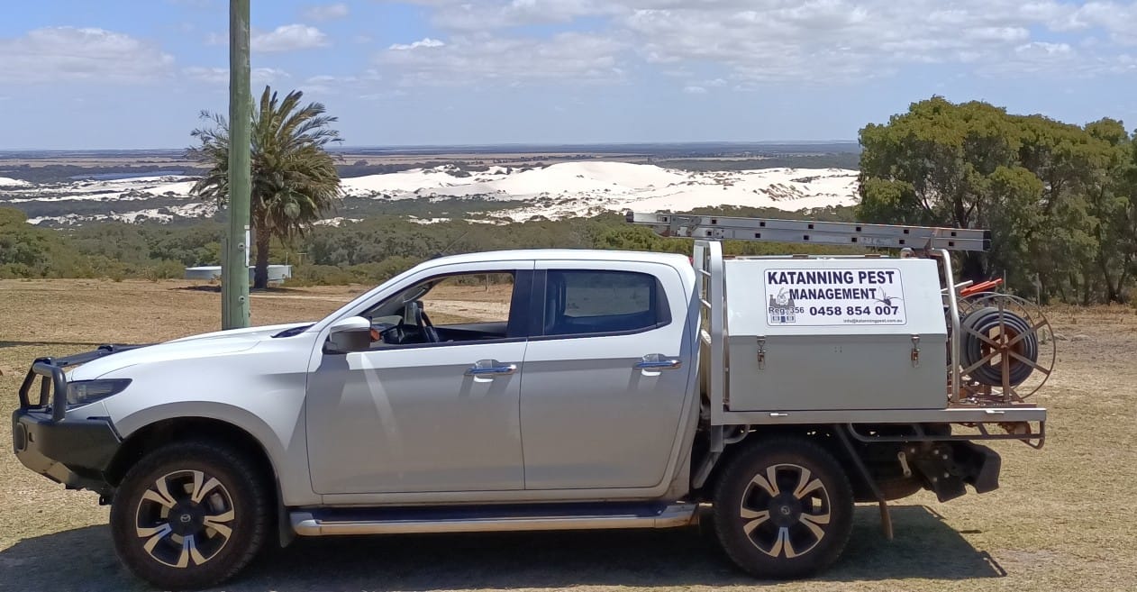 Katanning Pest Management