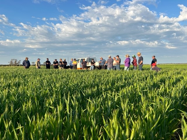 QFH Multiparts Pty Ltd