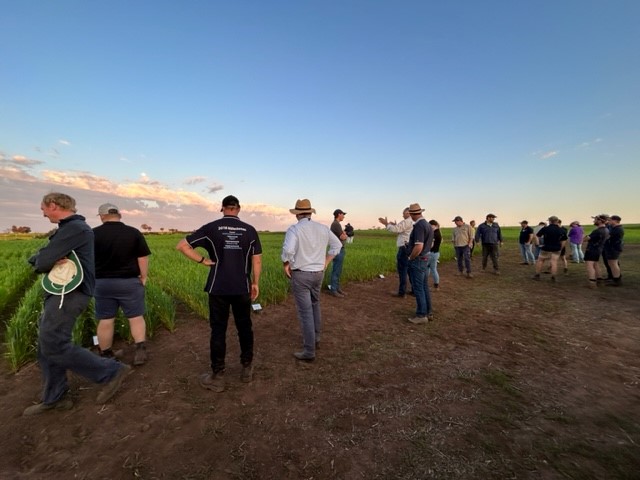 QFH Multiparts Pty Ltd