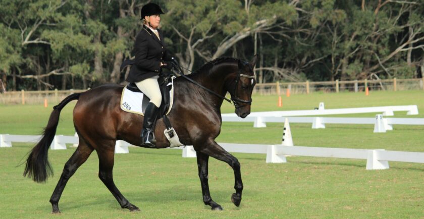Katanning Equestrian Association