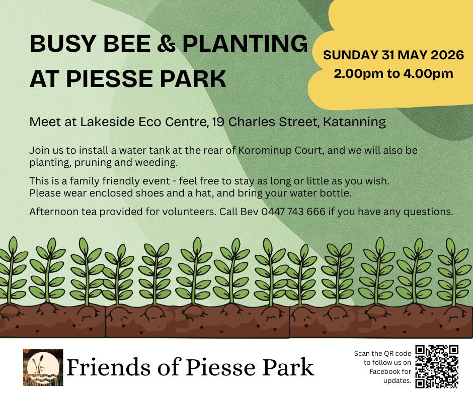 Busy bee & Planting at Piesse Park